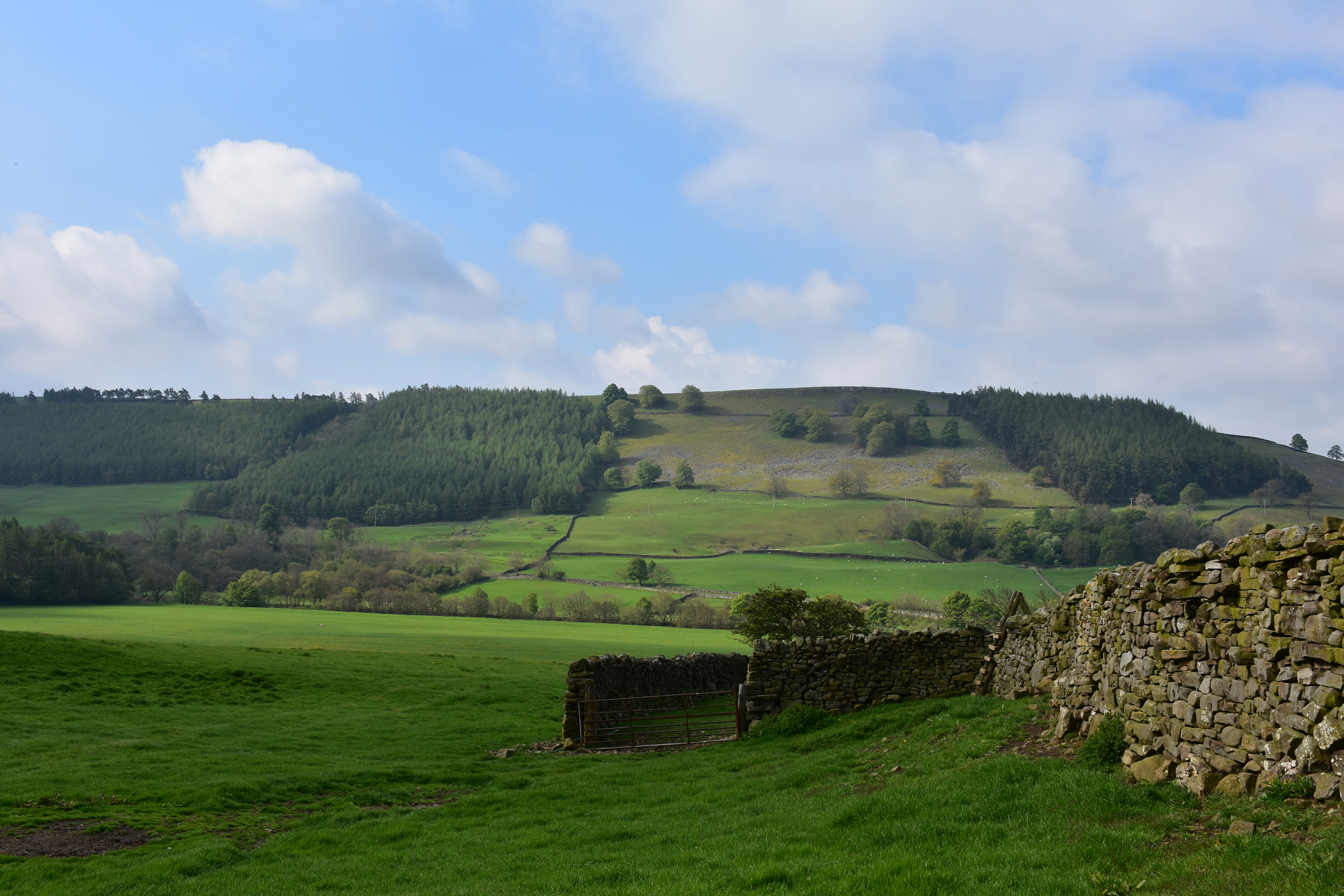 Irish landscape with a cattle farm